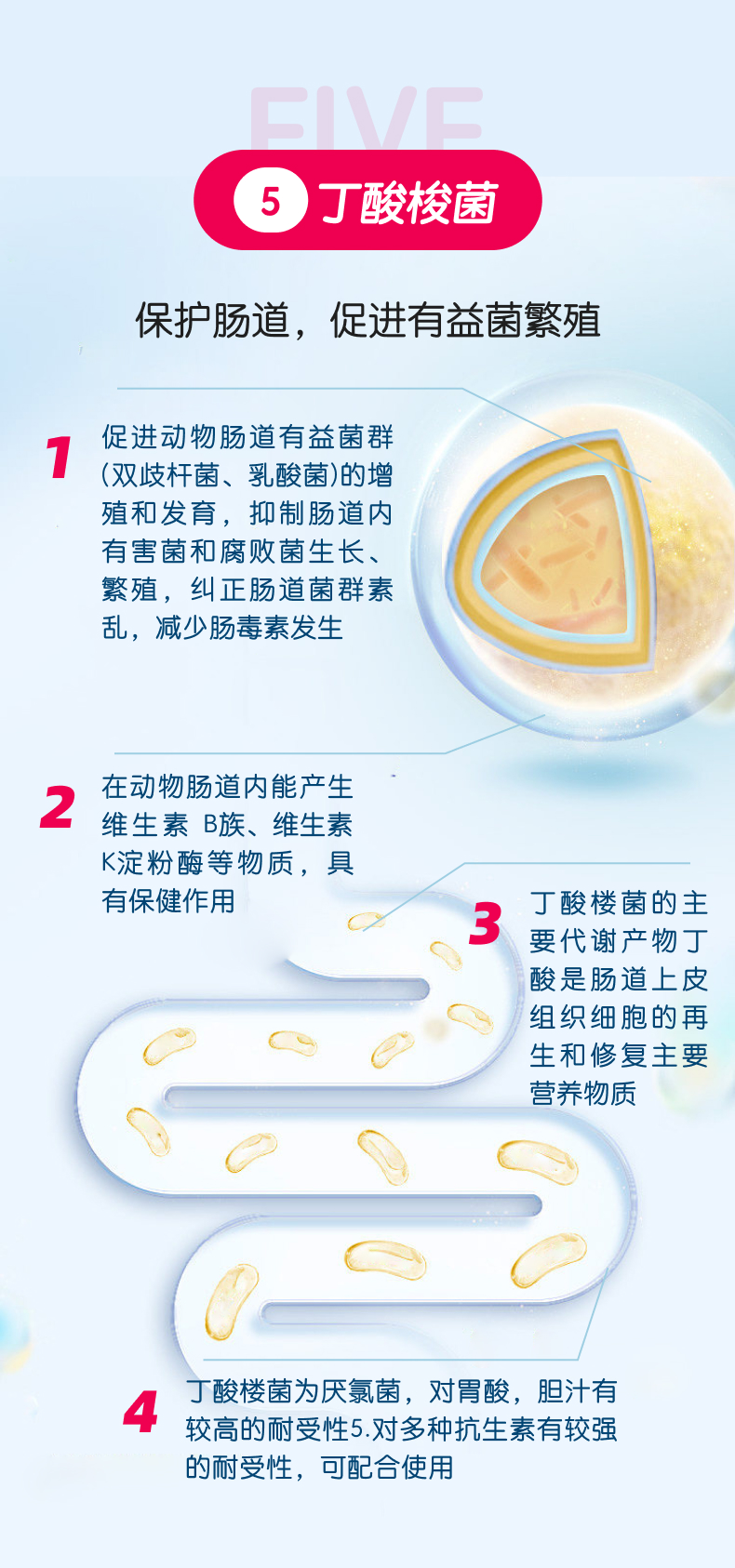 【嗅宠】嗅益生宠物高活性益生菌 拉稀腹泻|软便|调理肠胃