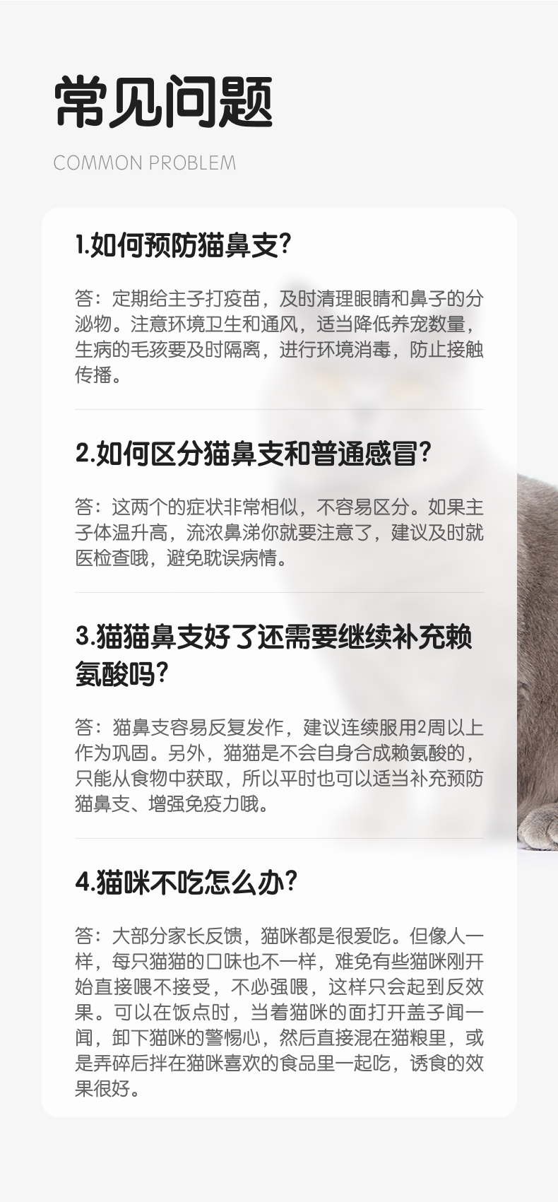 【嗅宠】嗅备安猫咪赖氨酸鼻支液 L-赖氨酸+乳铁蛋白抑制病毒 预防猫鼻支
