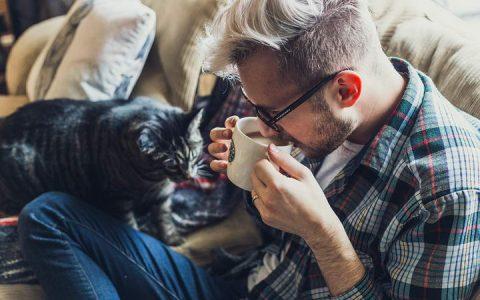 老年宠物狗狗和猫咪常见疾病之慢性肾衰竭