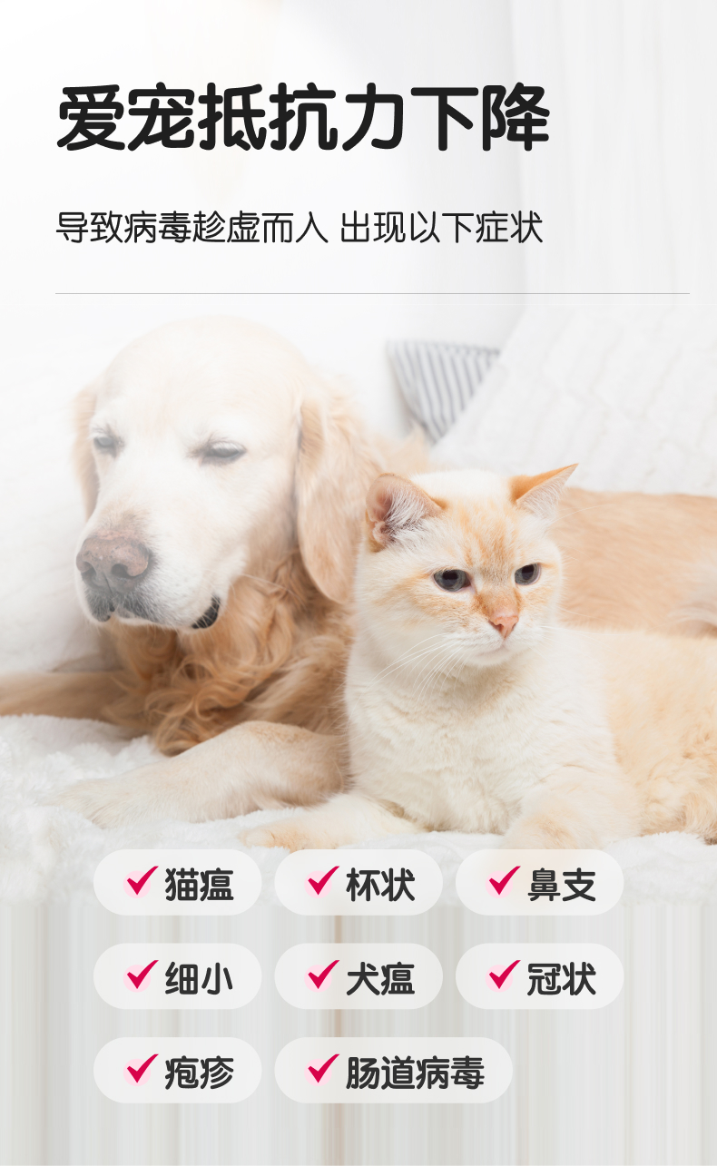 【嗅宠】嗅特康IGY+EGF+乳铁蛋白 给宠物多重防护 远离体弱多病