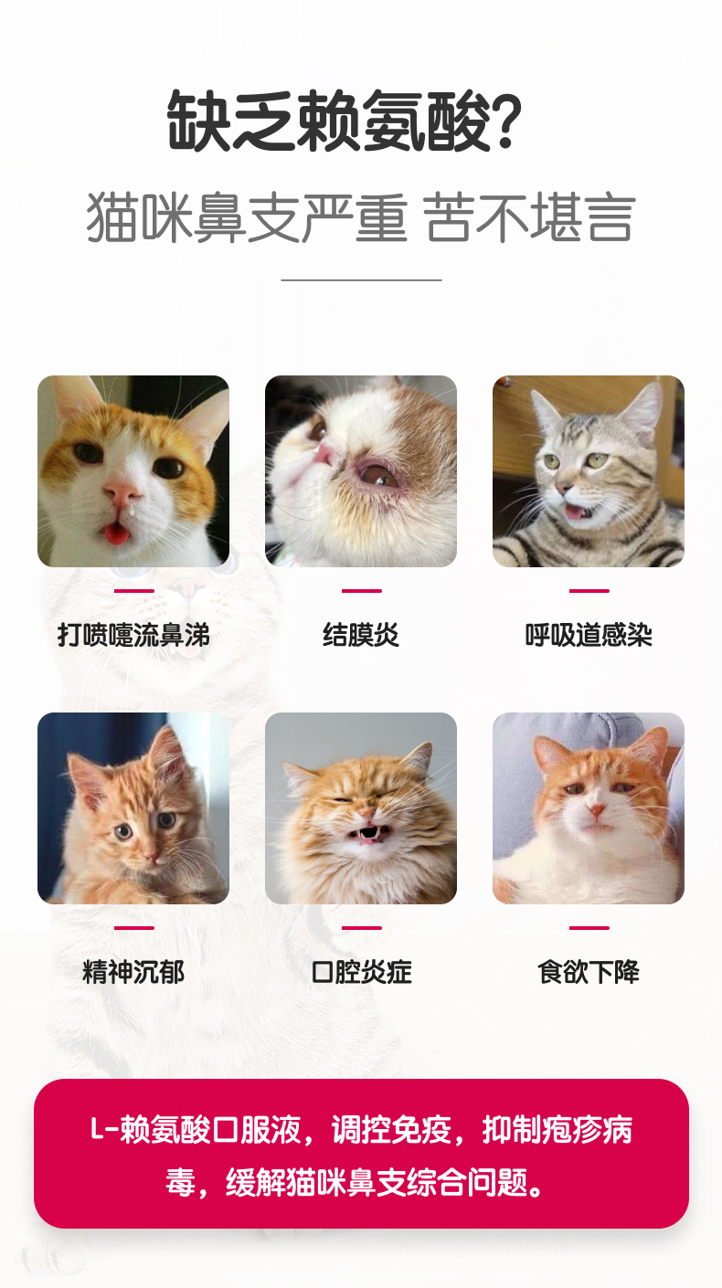 【嗅宠】嗅备安猫咪赖氨酸鼻支液 L-赖氨酸+乳铁蛋白抑制病毒 预防猫鼻支