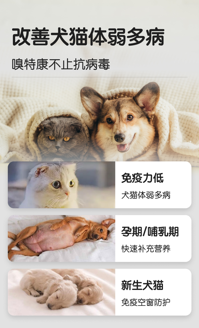 【嗅宠】嗅特康IGY+EGF+乳铁蛋白 给宠物多重防护 远离体弱多病