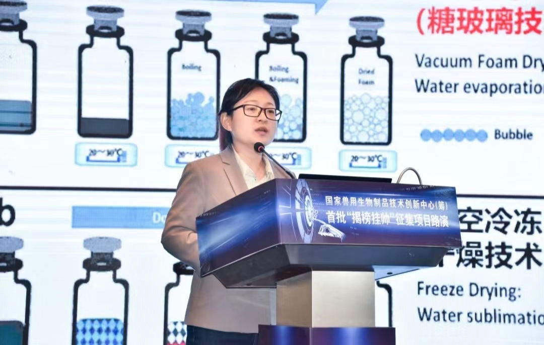 宠物犬得了肿瘤怎么办？江苏这项“揭榜挂帅”开出奇方