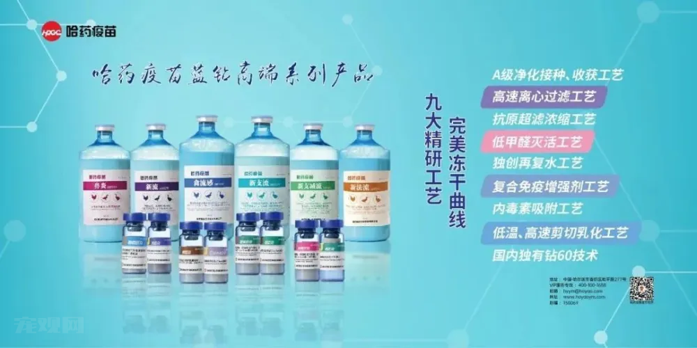 宠物医疗行业创造“超十亿”里程碑