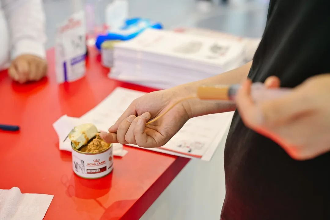 皇家蓄蕴诊疗人才发展强磁场,处方粮创新成果重磅上市