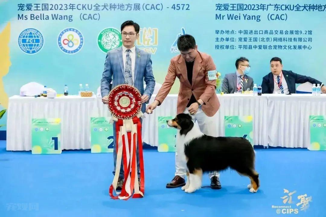 2023长城CIPS广州站圆满闭幕 期待12月上海再聚