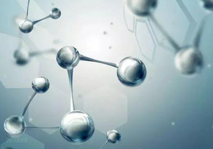 什么是卵黄抗体IgY？