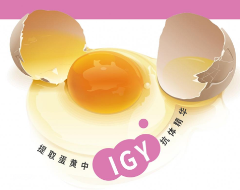 关于卵黄抗体IgY你了解多少？