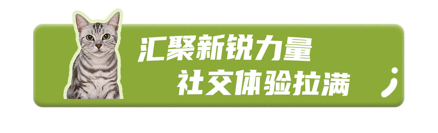 芒果爱宠文化市集摊主招募，寻找「摊」玩的你！