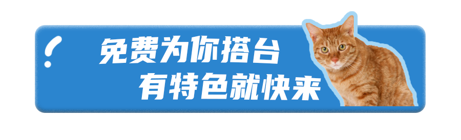 芒果爱宠文化市集摊主招募，寻找「摊」玩的你！