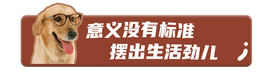 芒果爱宠文化市集摊主招募，寻找「摊」玩的你！