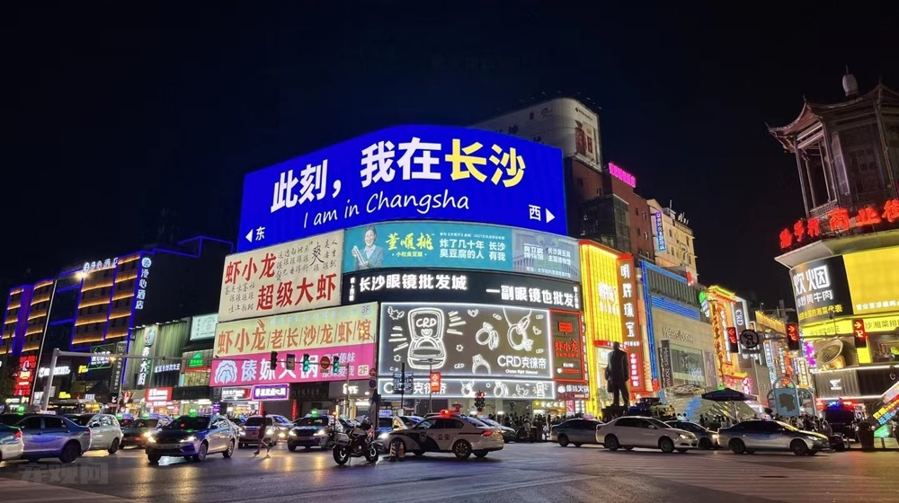 向下扎根「潮宠展实体重塑计划」宠业线下品牌城市联展启动！