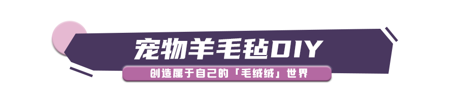 想给毛孩子做甜点的主人们，可别错过这个「出道」机会！