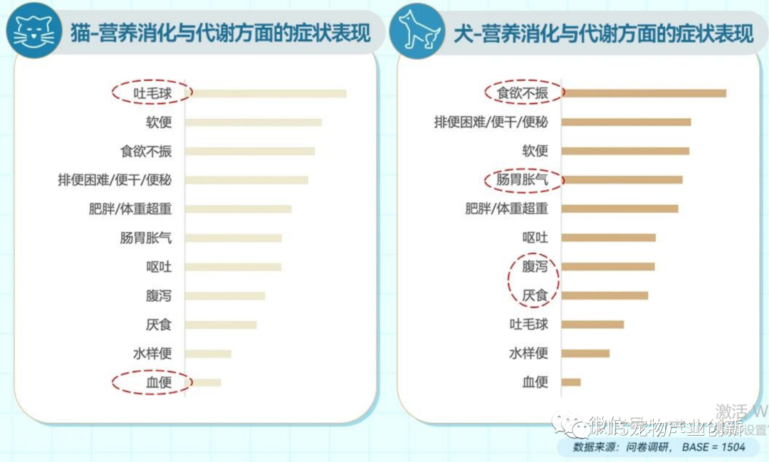 2023年淘系宠物健康赛道趋势洞察:皮毛及五官健康是成交核心领域
