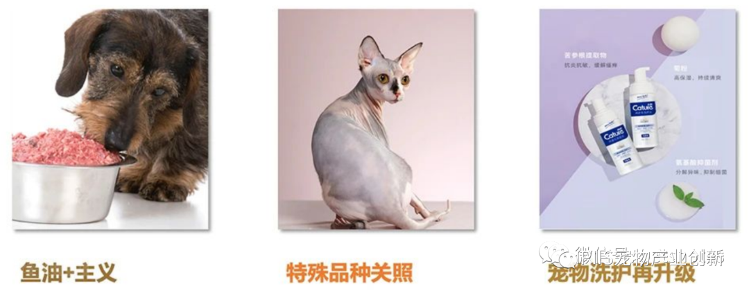 2023年淘系宠物健康赛道趋势洞察:皮毛及五官健康是成交核心领域