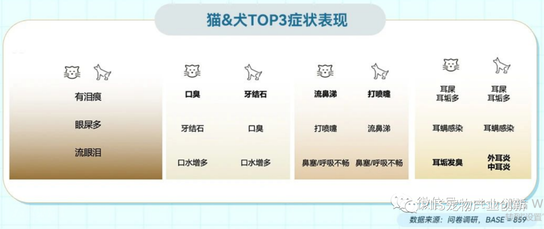 2023年淘系宠物健康赛道趋势洞察:皮毛及五官健康是成交核心领域
