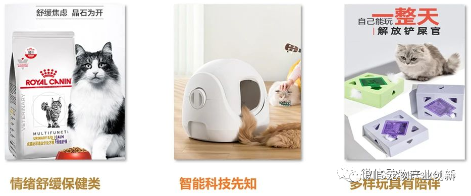 2023年淘系宠物健康赛道趋势洞察:皮毛及五官健康是成交核心领域