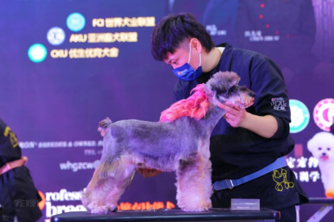 重磅惊喜福利！专业观众星级酒店住宿免费送！手慢无！