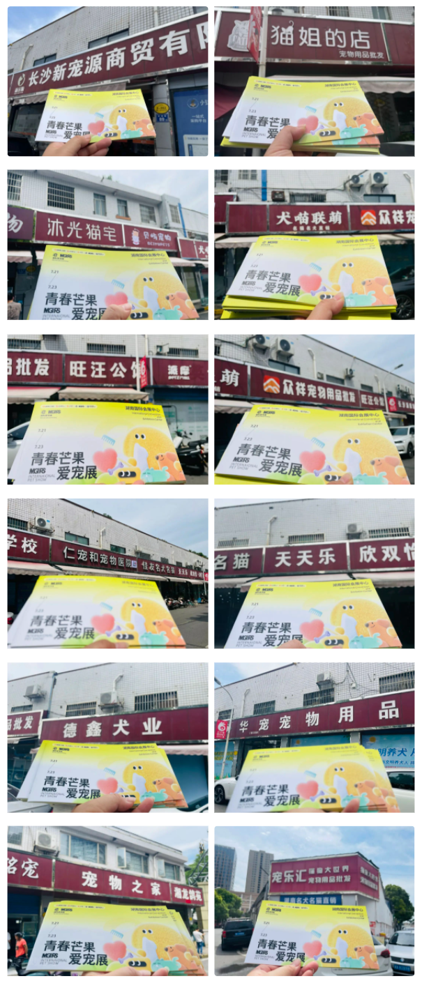 无惧高温热浪，邀约一路「狂飙」！IPS青春芒果爱宠展这波宣传很到位！！