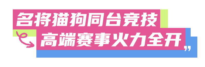 IPS青春芒果爱宠展预售票限时抢购中！这个夏天玩点不一YOUNG！