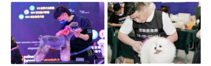 IPS青春芒果爱宠展预售票限时抢购中！这个夏天玩点不一YOUNG！