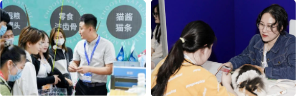 来点「萌」料！GCCFA&amp;小芒第60届品种猫积分赛重磅来袭！！