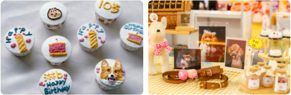 来点「萌」料！GCCFA&amp;小芒第60届品种猫积分赛重磅来袭！！