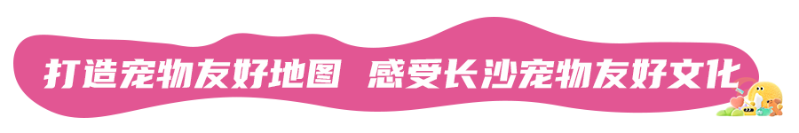 来点「萌」料！GCCFA&amp;小芒第60届品种猫积分赛重磅来袭！！
