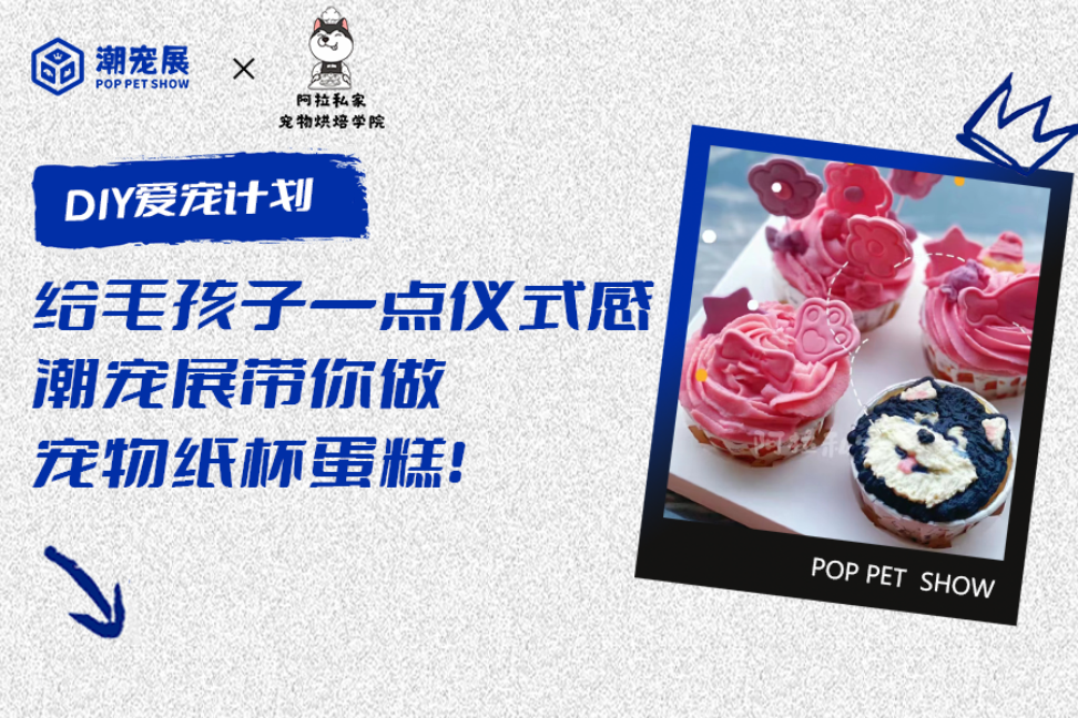 DIY「爱宠计划」揭秘:给毛孩子一点仪式感吧!亲手给它做个杯子蛋糕!