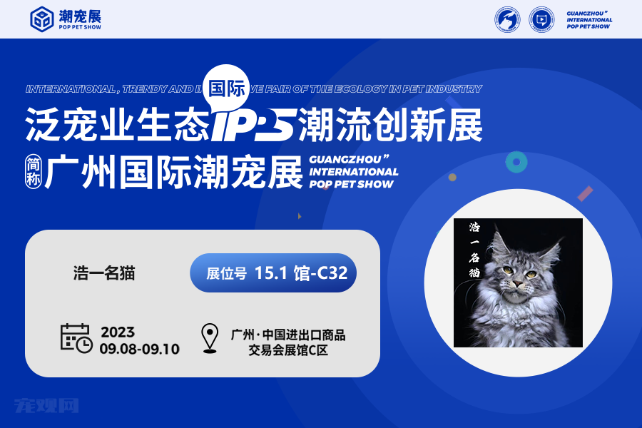 缅因库恩猫繁育基地——保证猫咪健康优质的浩一名猫！