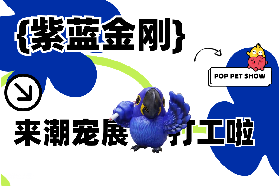 彩虹色的夸夸!紫蓝金刚鹦鹉参与潮宠展,让我们一起欢呼吧!