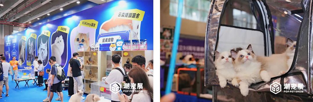 广州国际潮宠展宠物展宠博会｜精彩重温！期待2024再续辉煌！