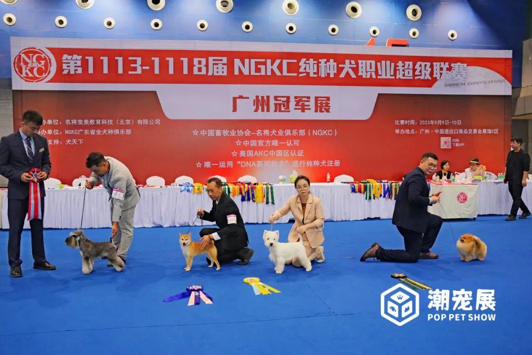 广州国际潮宠展宠物展宠博会｜精彩重温！期待2024再续辉煌！