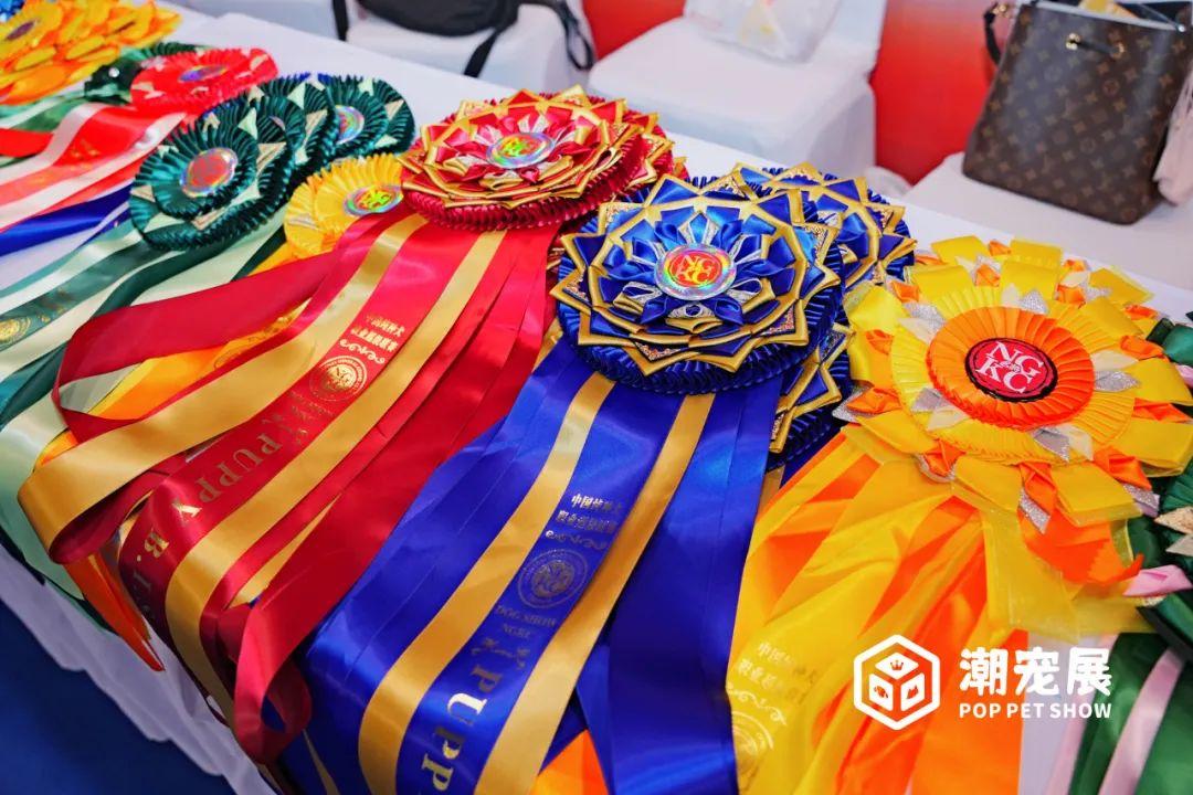 广州国际潮宠展宠物展宠博会｜精彩重温！期待2024再续辉煌！