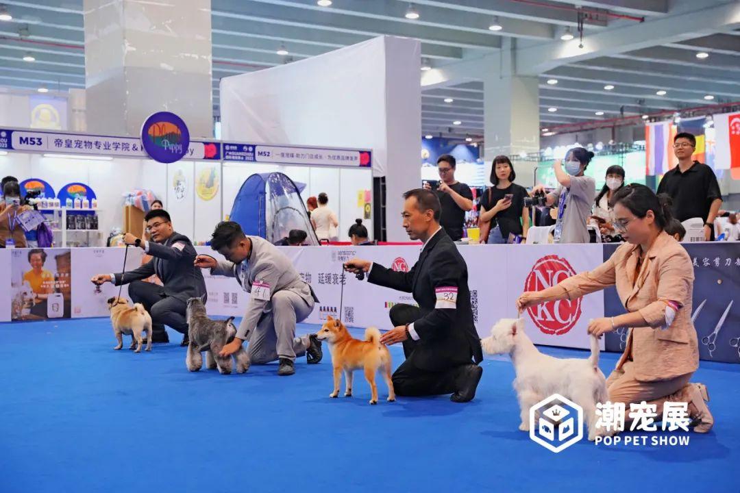 广州国际潮宠展宠物展宠博会｜精彩重温！期待2024再续辉煌！