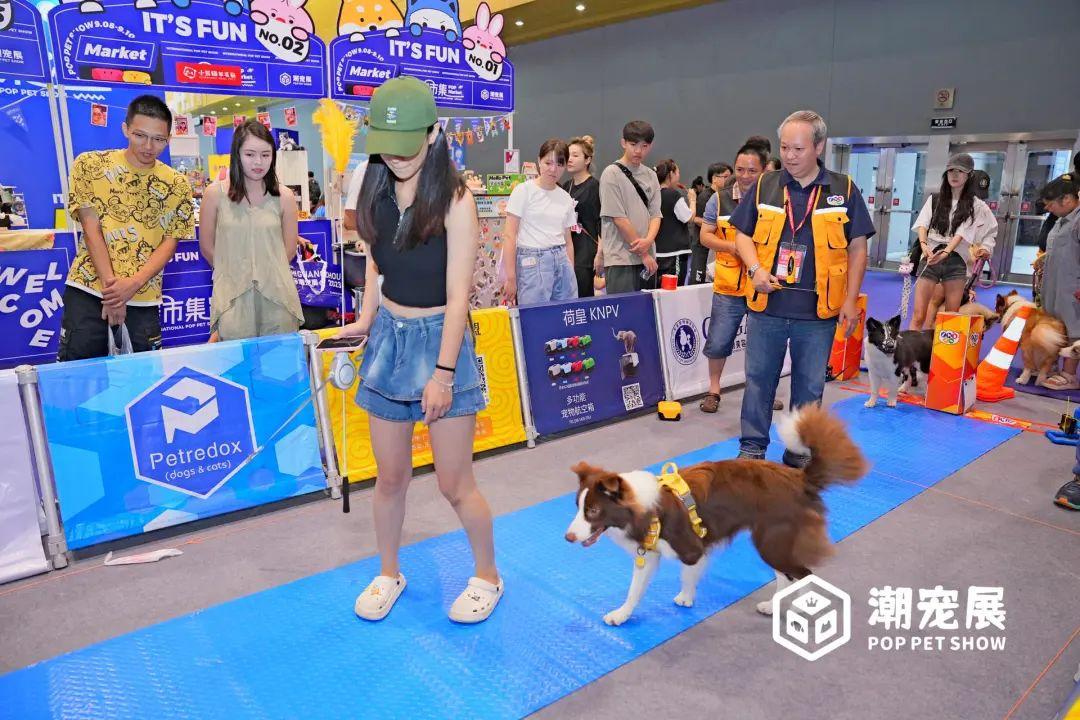 广州国际潮宠展宠物展宠博会｜精彩重温！期待2024再续辉煌！