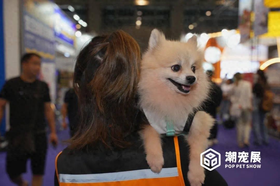 为品牌力提速！潮宠展发布2024年度战略！2024年潮宠展/潮流宠物展/萌宠展/宠博会