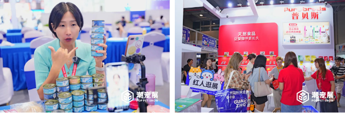 这届达人选品会又要爆了，海内外达人现场开播，2024年广州国际潮流宠物萌宠展