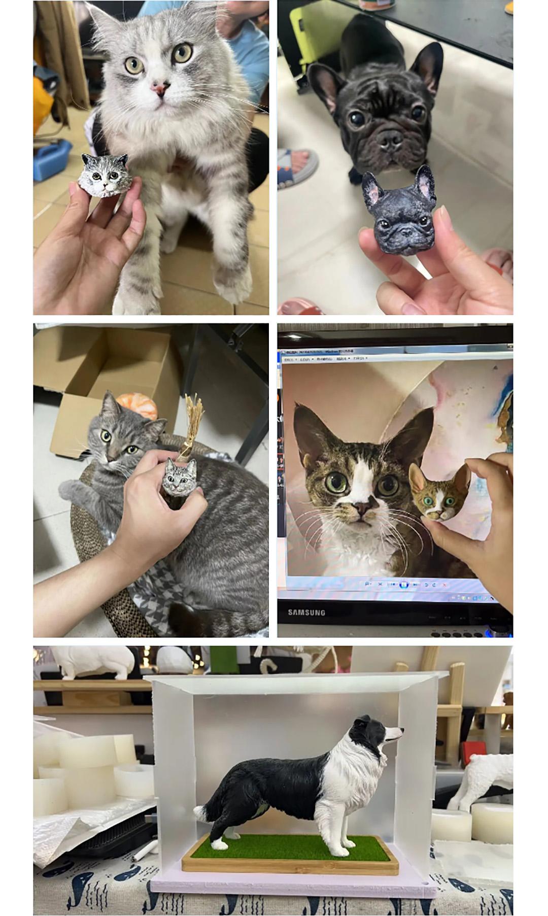 2024广州国际潮流宠物展市集,寻找宠物文创摊主!