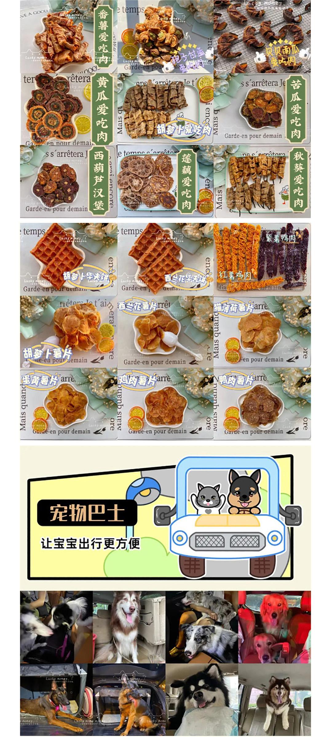 2024广州国际潮流宠物展市集,寻找宠物文创摊主!