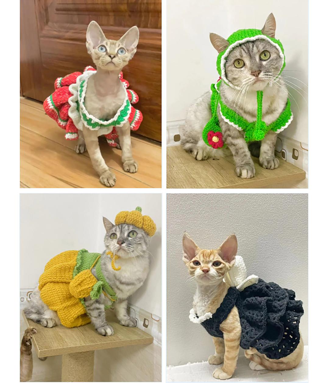 2024广州国际潮流宠物展市集,寻找宠物文创摊主!