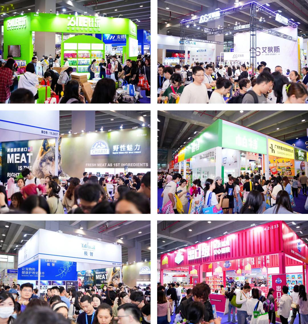 东南宠业风向看福州！福州潮宠展专业观众登记正式开启！