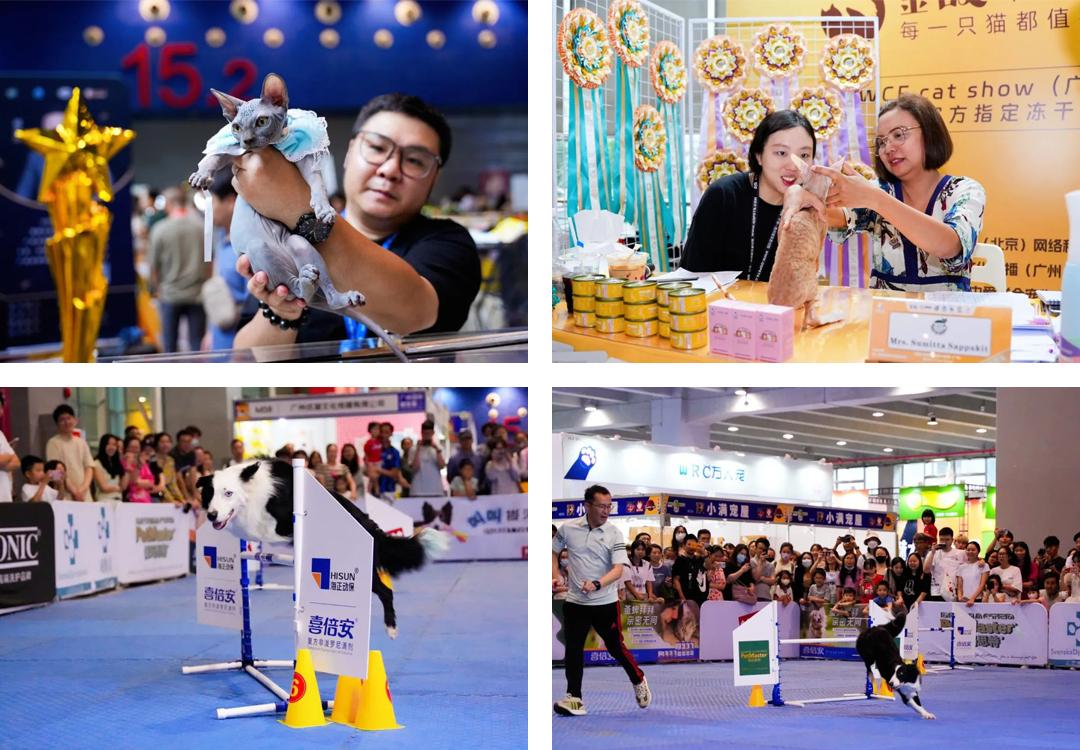 东南宠业风向看福州！福州潮宠展专业观众登记正式开启！