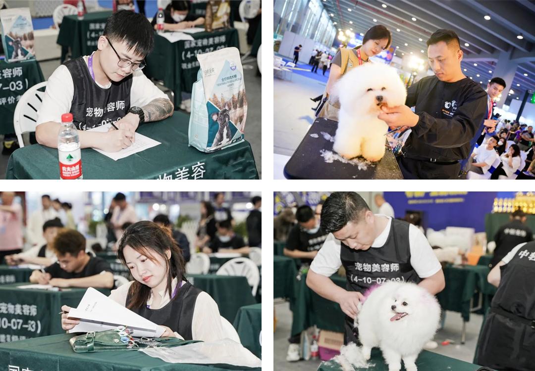 东南宠业风向看福州！福州潮宠展专业观众登记正式开启！