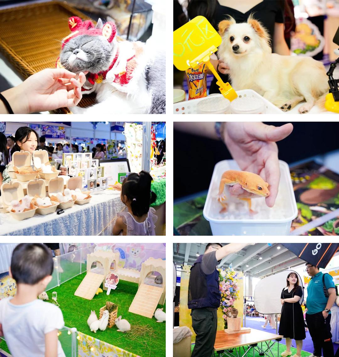 东南宠业风向看福州！福州潮宠展专业观众登记正式开启！