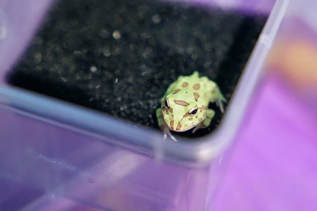 国庆黄金周锁定佛山潭洲有它展！各大主题板块火热招商中，名额有限！