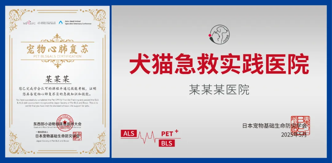 来第五届亚专会！学专科盈利术，抢县域红利，赢全球订单！