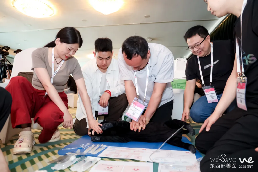 来第五届亚专会！学专科盈利术，抢县域红利，赢全球订单！