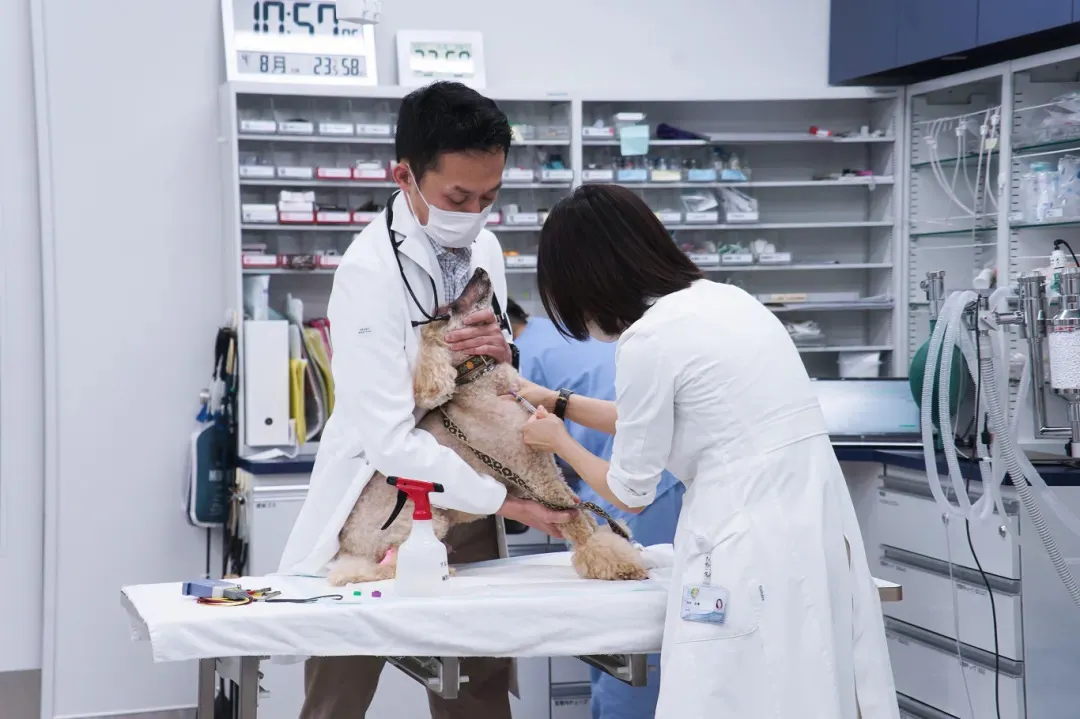 来第五届亚专会！学专科盈利术，抢县域红利，赢全球订单！