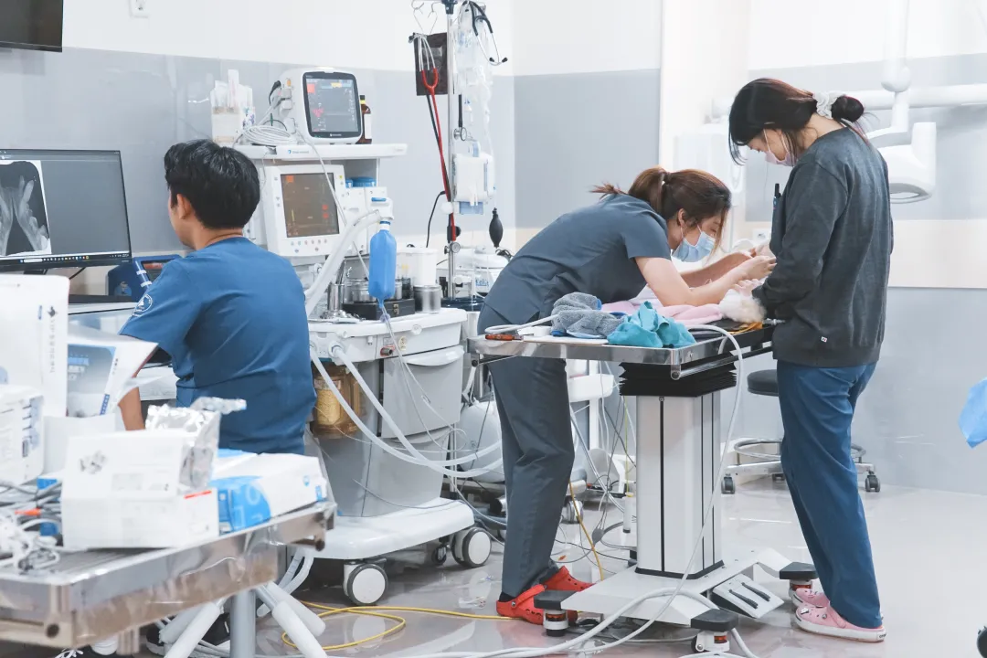 来第五届亚专会！学专科盈利术，抢县域红利，赢全球订单！